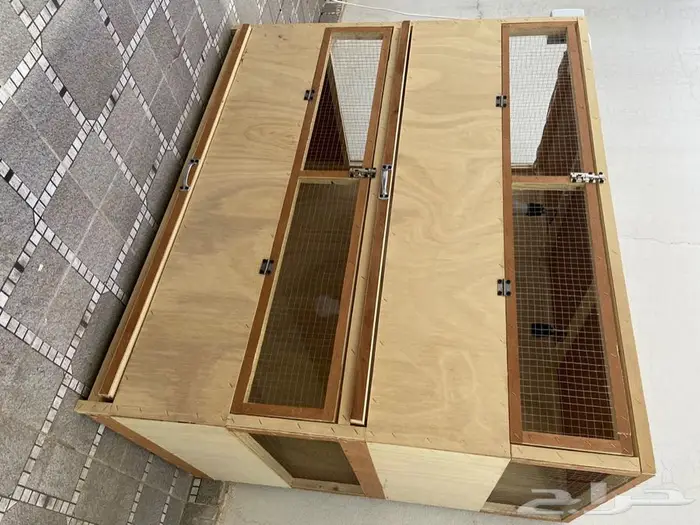 حضانة صوص محكر دجاج بطارية صوص 1