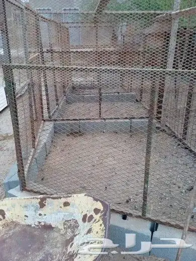 مجموعة شبوك للبيع 3