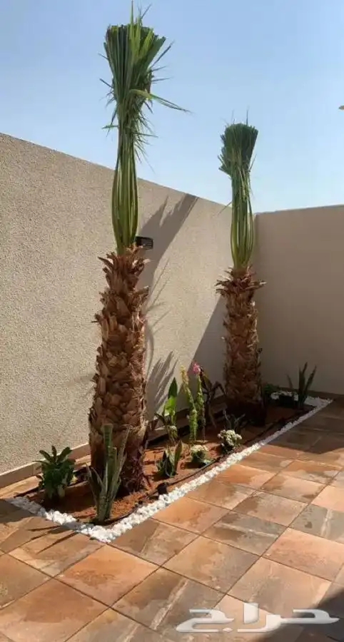 تنسيق حدائق وزراعة منزليه 0581590406 7