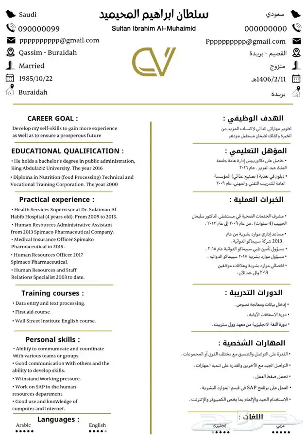 سيرة ذاتية احترافية 2
