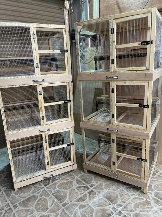 محكر حمام محكر دجاج بط روز طيور زينه محاكر قطط العاب قطط 4
