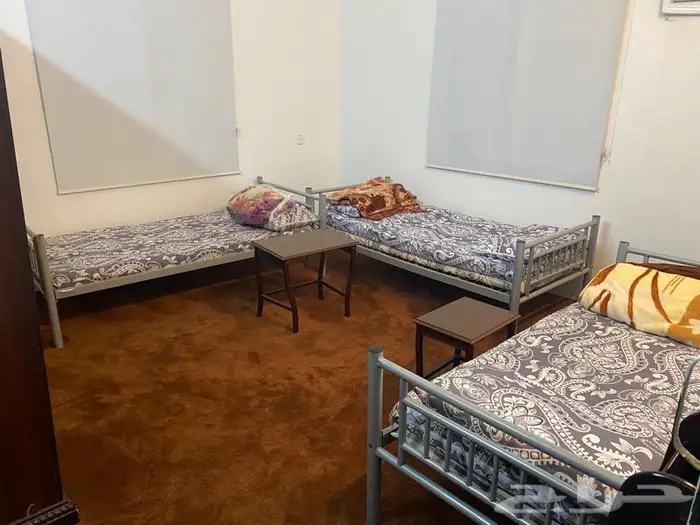 استراحة ومخيم زهرة الطايف 13