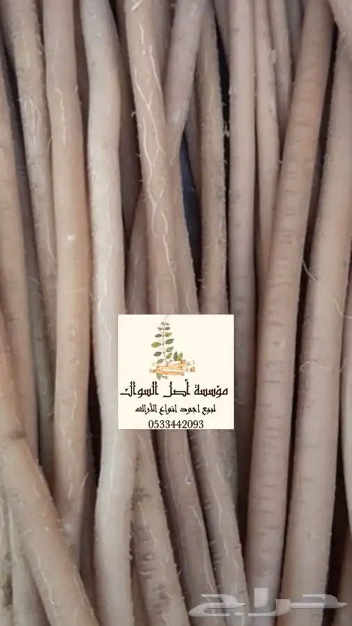 مساويك ابو حنش تصلك اينما كنت 2