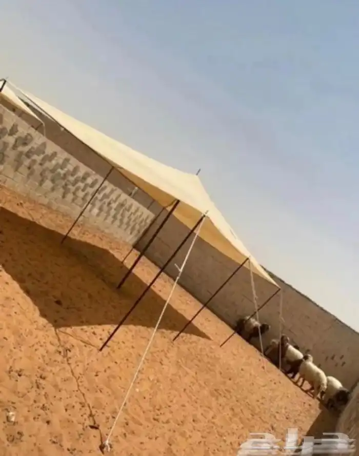 للبيع دواليب التخزين والمظلة السيارات وظلال الحلال 12