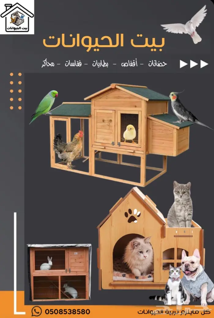 حضانات صوص بطارية صوص بطاريات ارانب 0