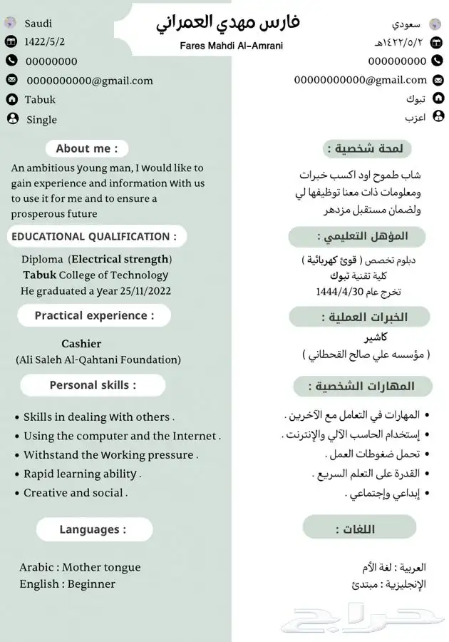 سيرة ذاتية CV 1