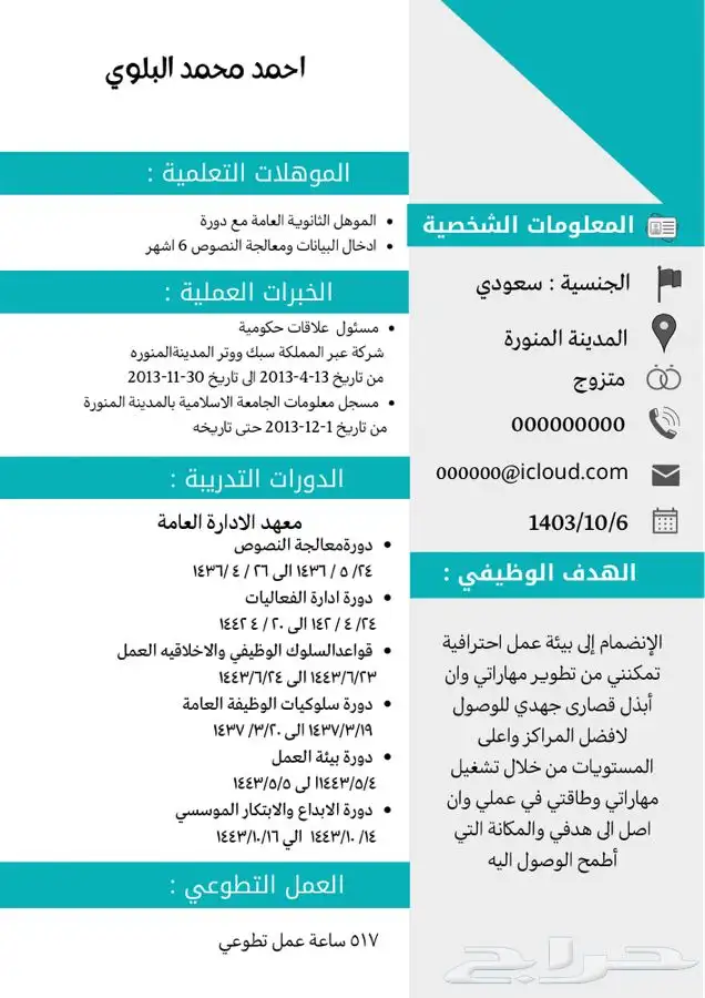 سيرة ذاتية CV 0