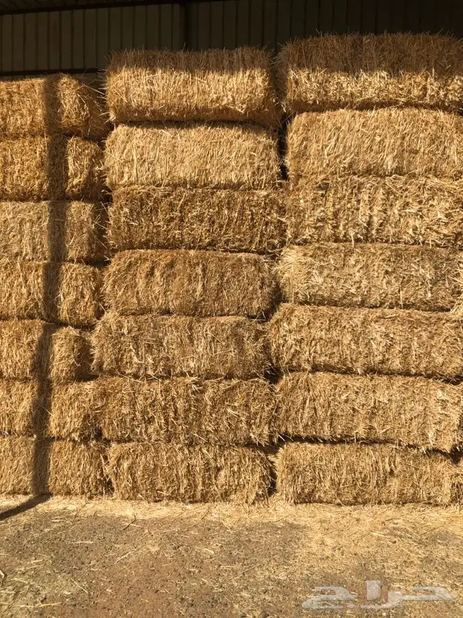 مؤسسة فاتحة الخيرللاعلاف في سوق اعلاف المزاحميه للبرسيم 0