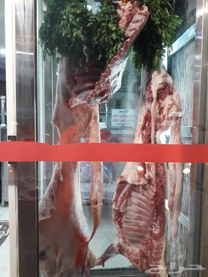 حفلات شواء خارجية خرجه مشاوي . مكه جده 9