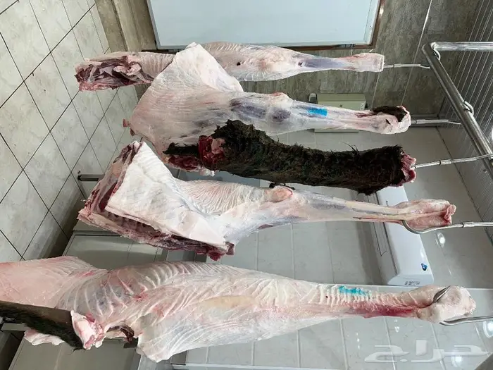 متجر ذبيحة 69