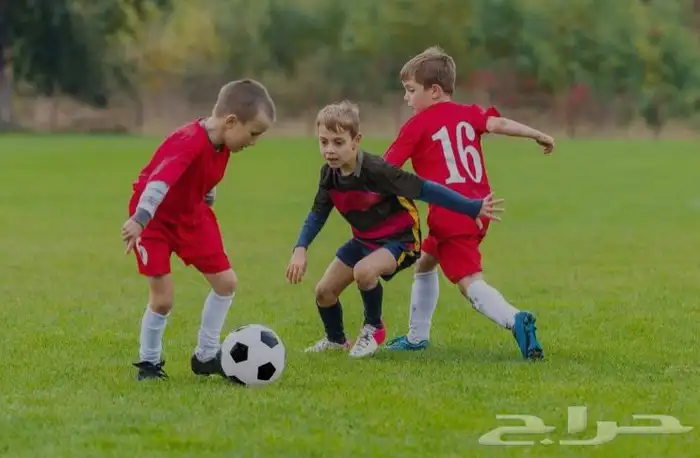مدرب كرة قدم 1