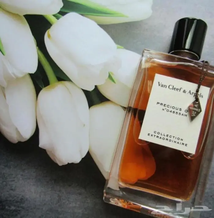 عطر Precious Oud بريشوس عود من فان كليف 2