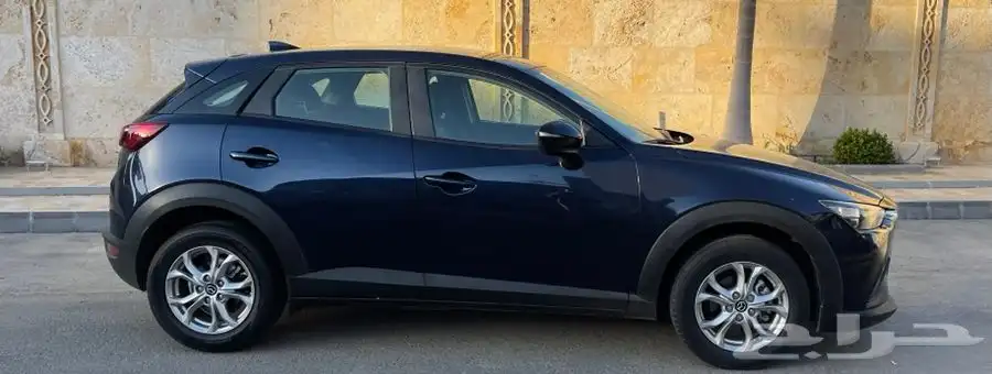 تم البيع 11