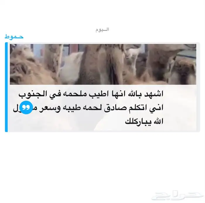 ملحمةحاشي السفرة خميس مشيط 11