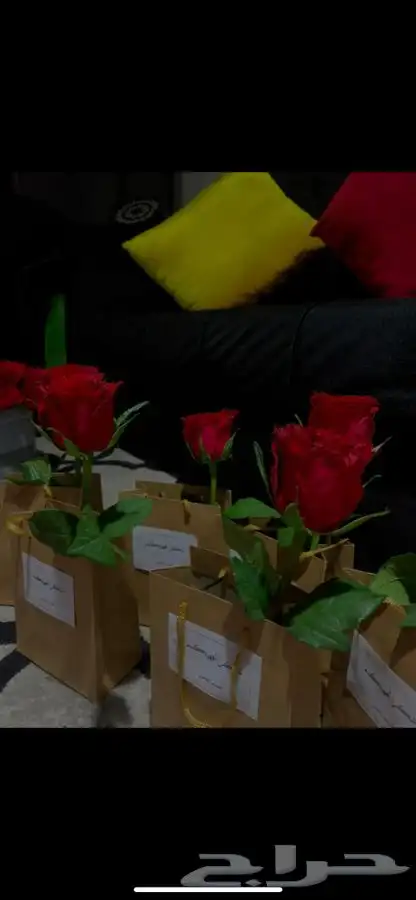 تنسيق بالونات و بالون راقص و ستي كلر و اضائة المباني 10