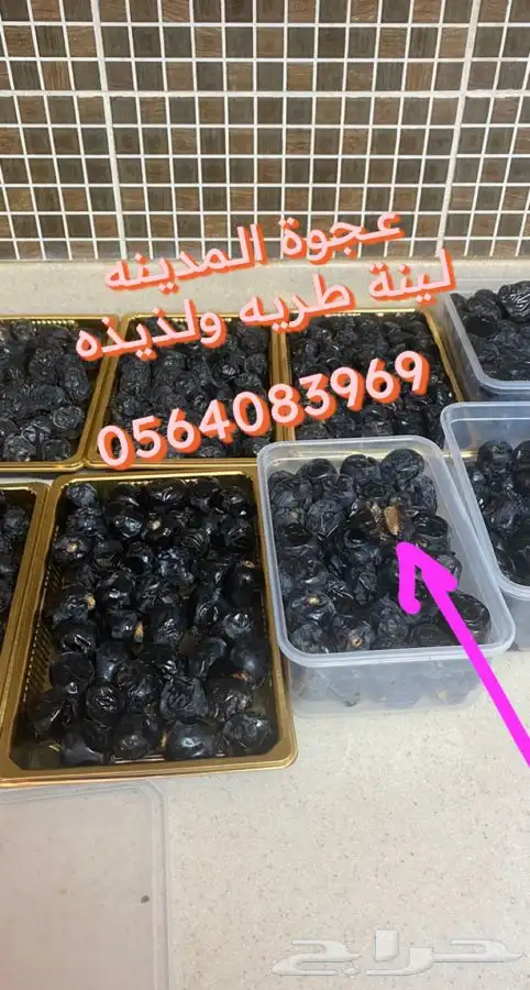 عجووة عالية المدينه 4