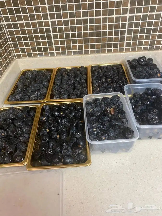 عجووة عالية المدينه 10