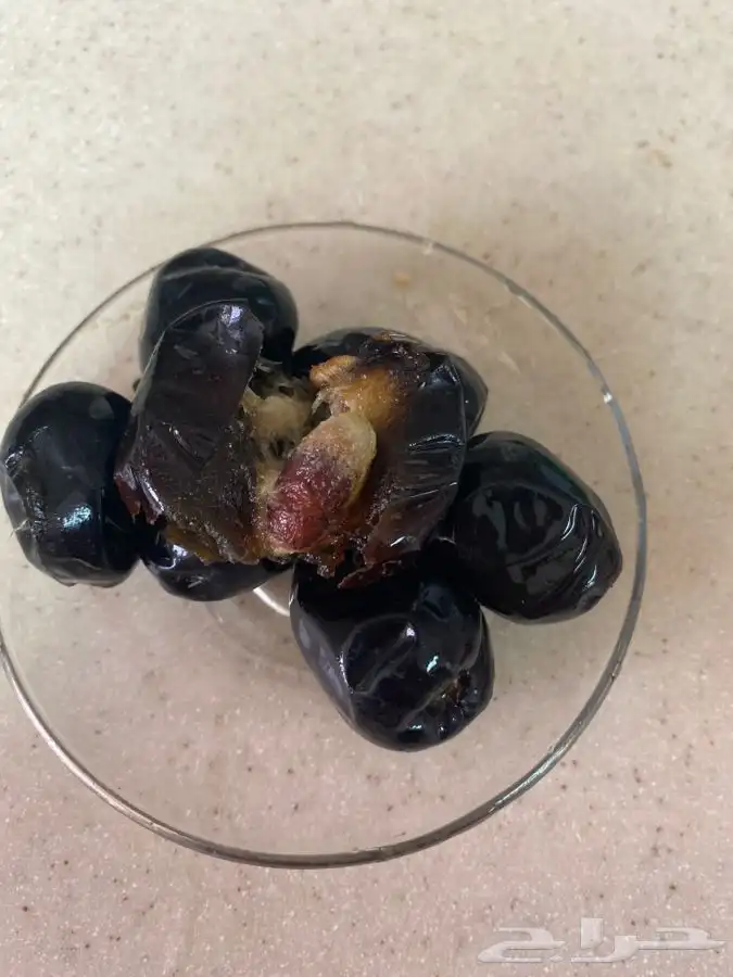 عجووة عالية المدينه 11