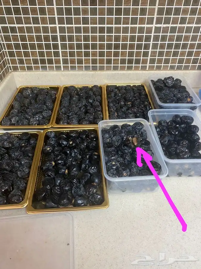 عجووة عالية المدينه 7