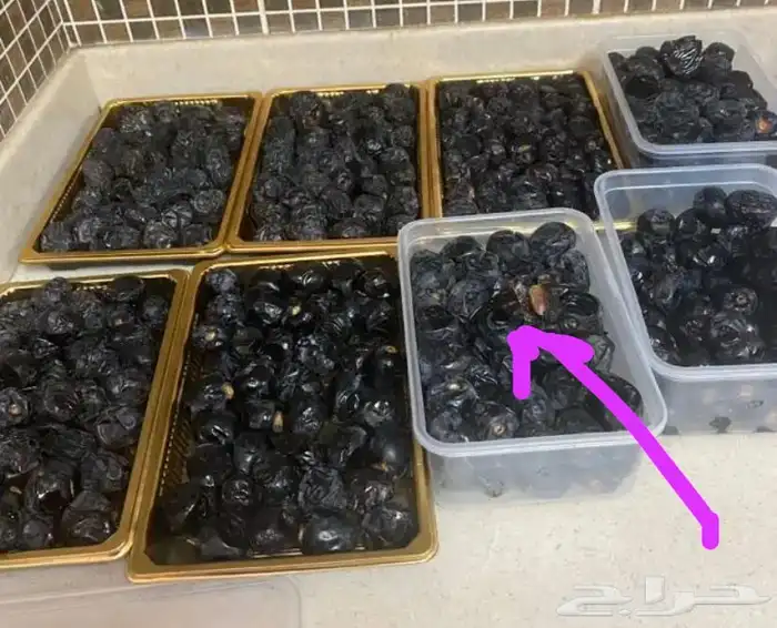 عجووة عالية المدينه 5