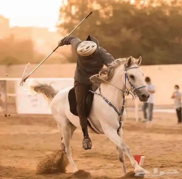 رمح لاتقاط الاوتاد . 6