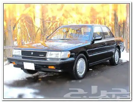 مطلوب كرسيدا استخدام امريكي 0