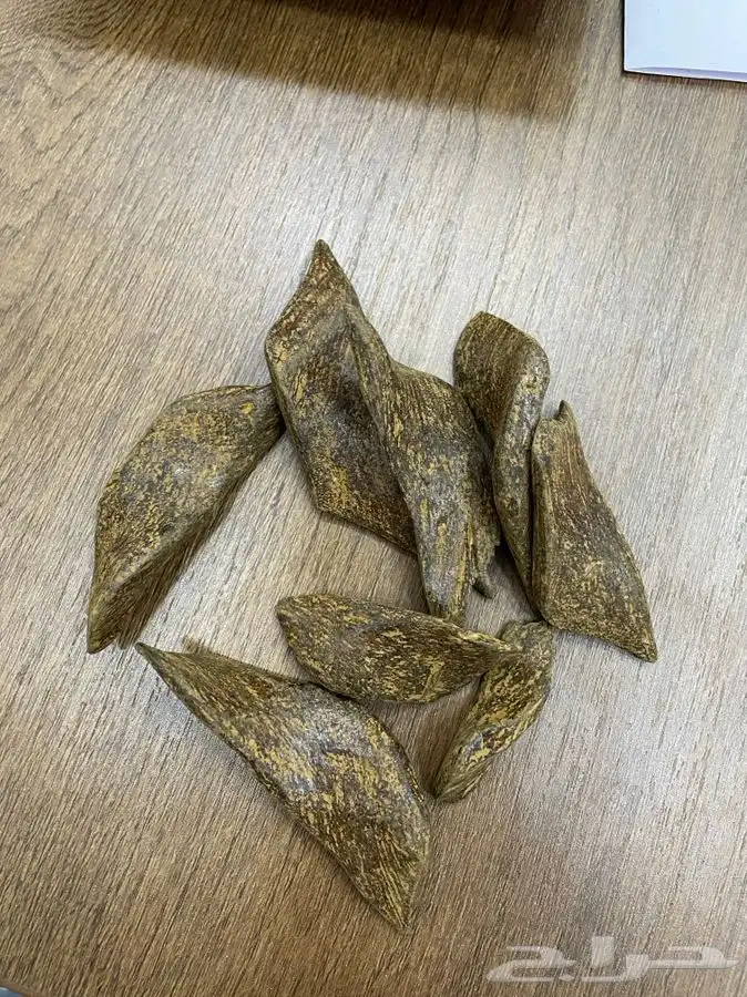 عود بخور مروكي T 1