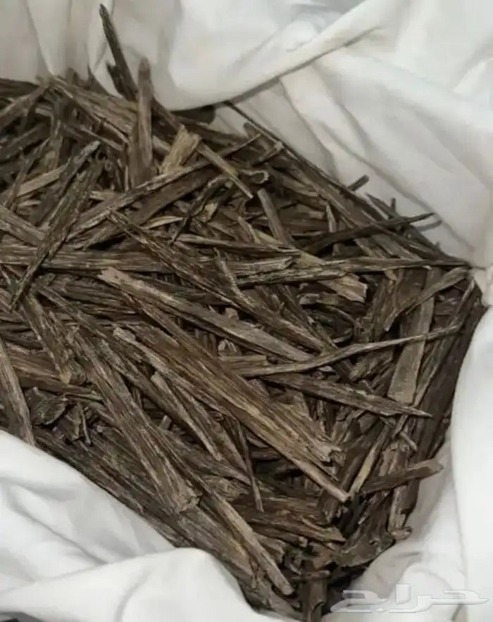 عود طبيعي بسعر طيب 0