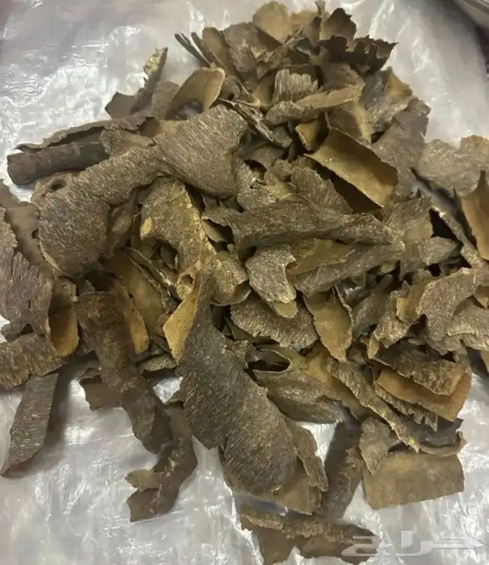 عود طبيعي بسعر طيب 1