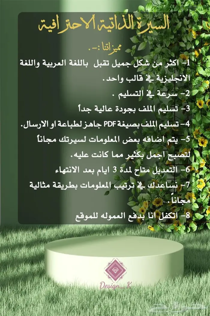 تصاميم السيرة الذاتية الحديثة 0