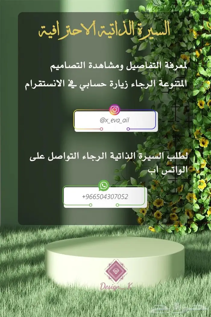 تصاميم السيرة الذاتية الحديثة 1