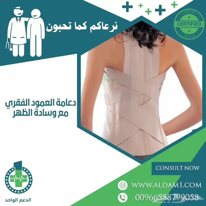 دعامة العمود الفقري 0