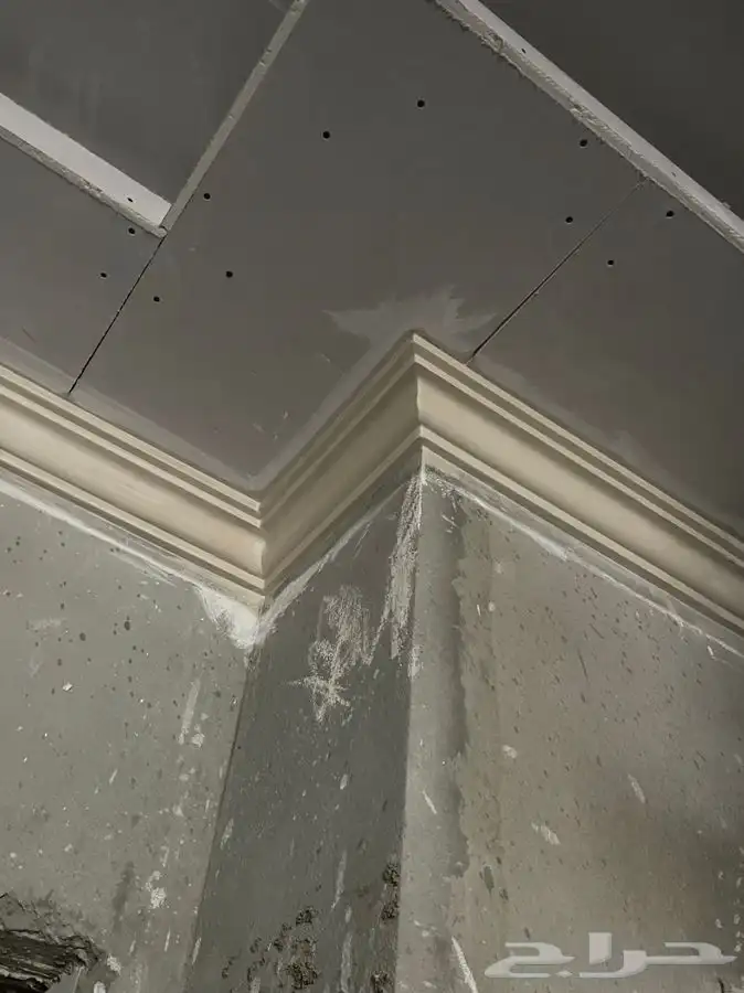 د  ورات الجبسئ  3