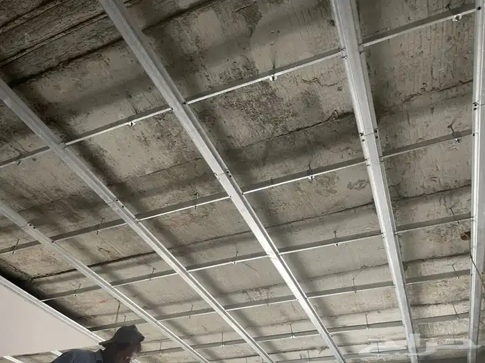 د  ورات الجبسئ  16