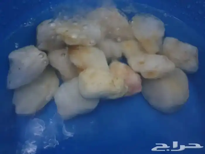 حجر مظبي حجر مرو حجر طبيعي مرخ حنيذ 2