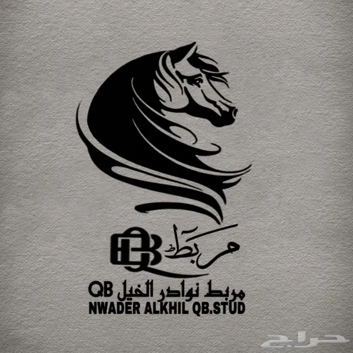 تدريب على الفروسية 0
