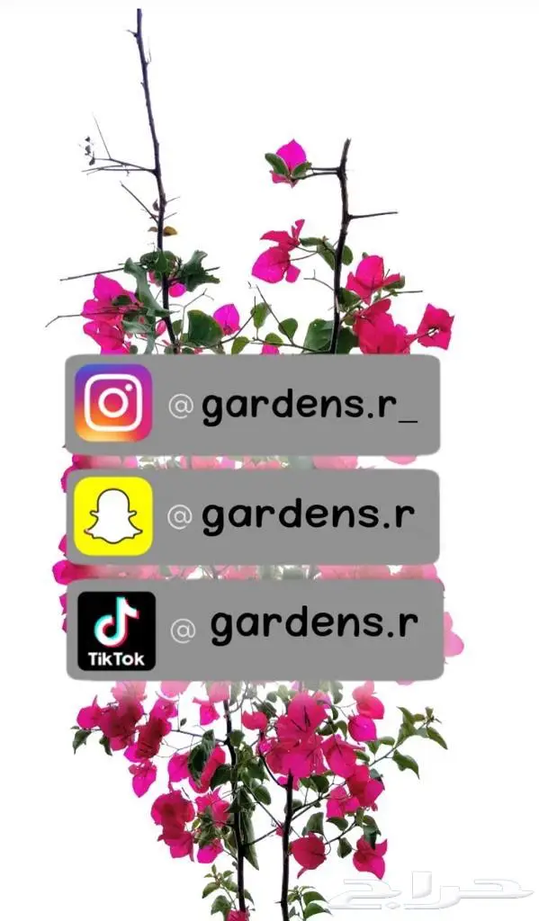 جلسات خارجية لاداعي للبحث أكثر وفرنا ماتريد 14