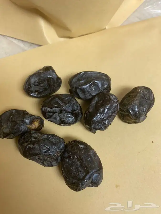 عجووة عالية المدينه 14