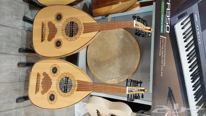 عود تعليمي مصري وصوت رائع 4