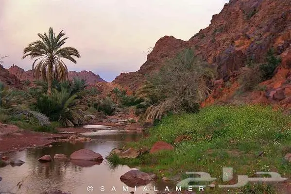 حياكم الله ب حائل 1