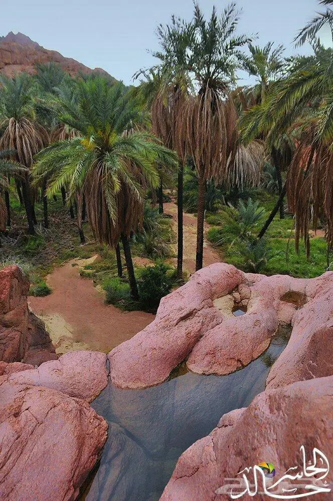 حياكم الله ب حائل 2