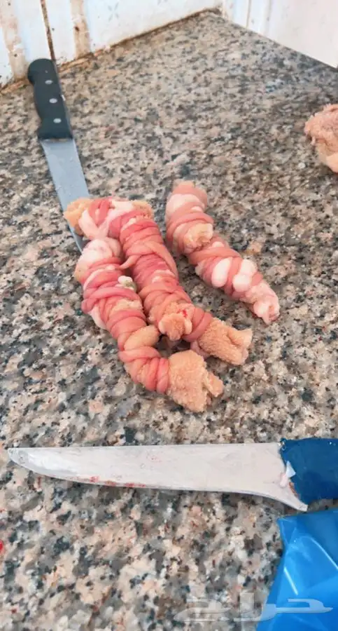 ذبايح سواكني طيبة للمناسبات والثلاجة تربية 6