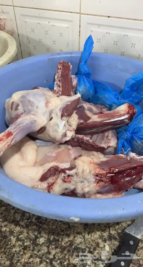 ذبايح سواكني طيبة للمناسبات والثلاجة تربية 3