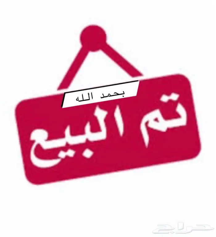تم البيع كنيور يلو سايد اليف محجل2022 0