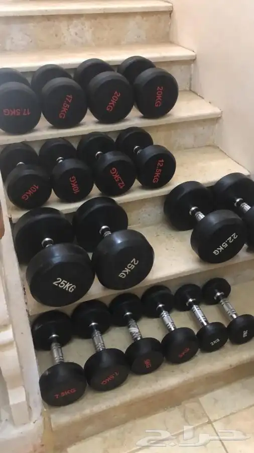 equipment gym equipment 2