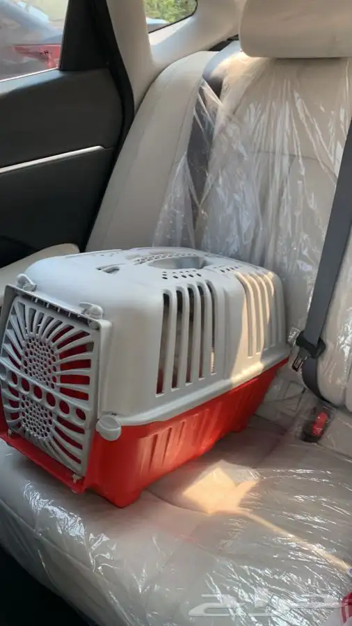 نقل توصيل شحن حيوانات من جدة الى الرياض الدمام والعكس 2