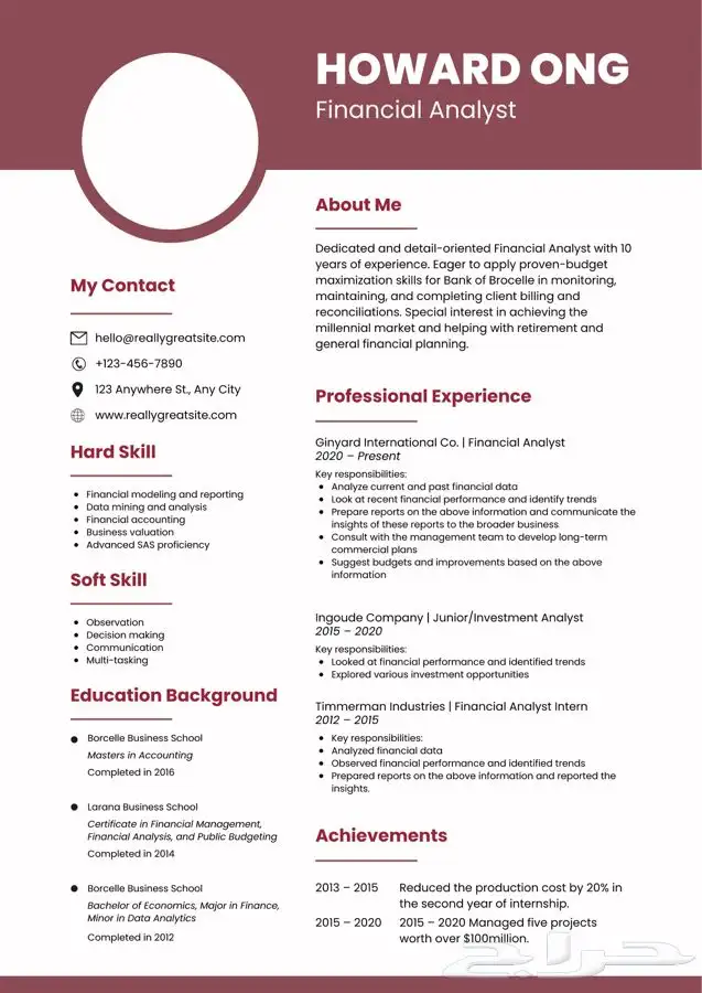 سيرة ذاتية انفوجرافيك 3