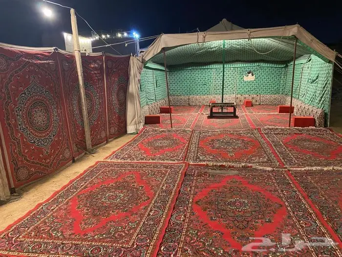 استراحة ومخيمات زهرة الطايف 71