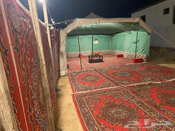 استراحة ومخيمات زهرة الطايف 72