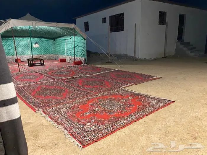 استراحة ومخيمات زهرة الطايف 73